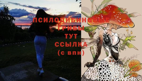 стаф Сафоново