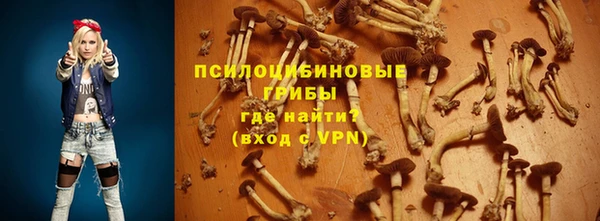 ALPHA PVP Богданович